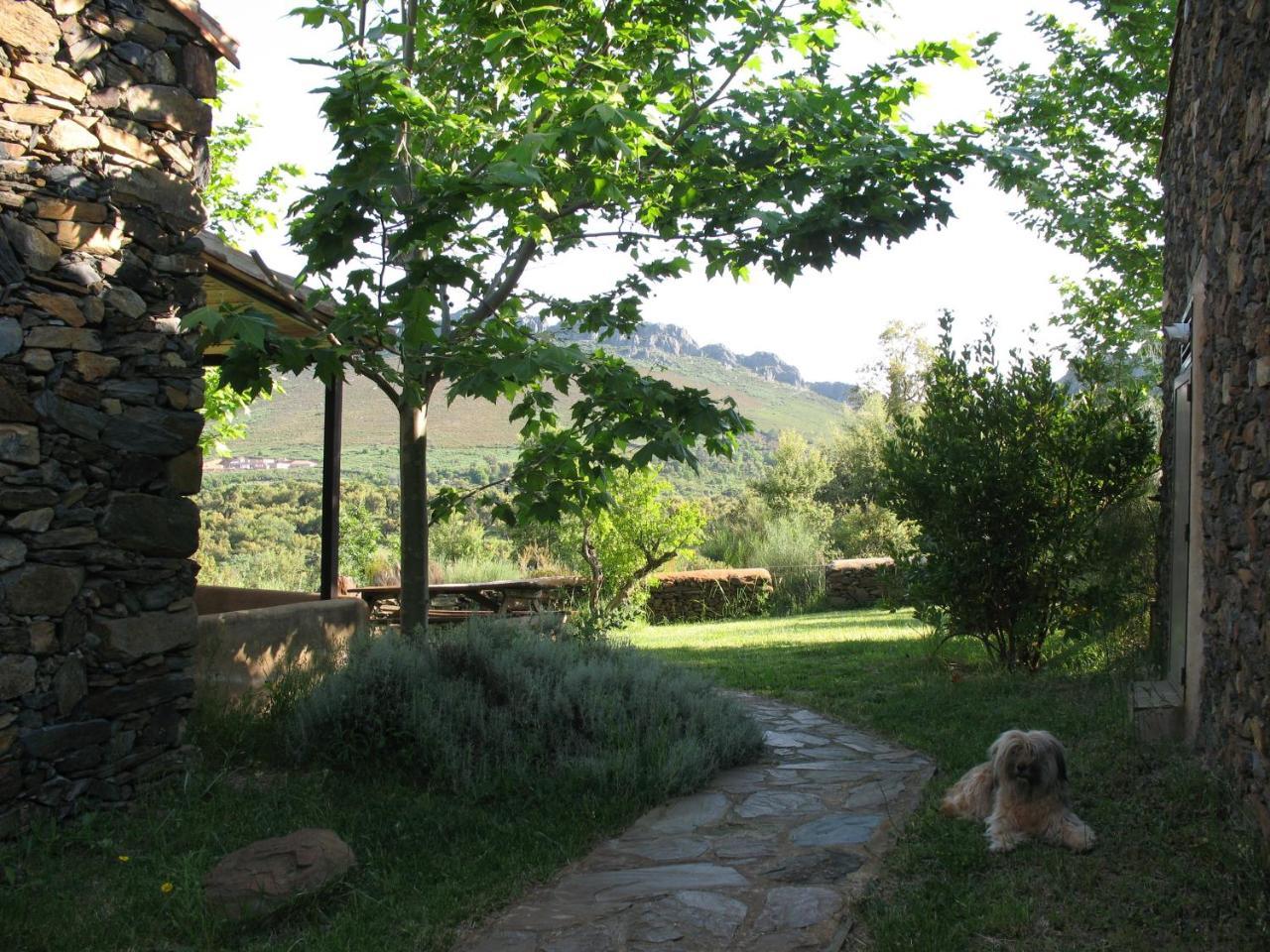 Quinta De Luna Villa Valencia de Alcántara Dış mekan fotoğraf