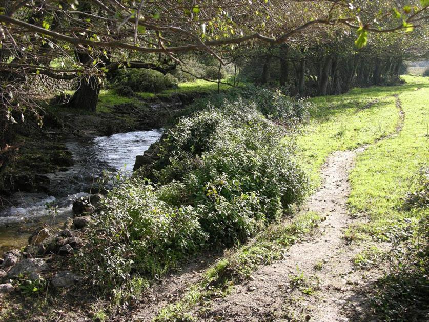 Quinta De Luna Villa Valencia de Alcántara Dış mekan fotoğraf